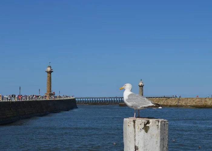 Appartement Seaview Large Flat Ideal For Two Families Whitby
